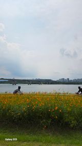 팜모닝 자유주제·자유게시판 게시글 이미지