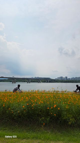 손병만님의 자유주제 · 자유게시판 작성글 사진