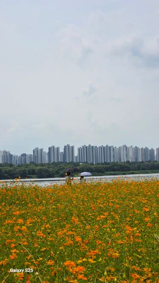 손병만님의 자유주제 · 자유게시판 작성글 사진