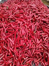 팜모닝 · 게시글 이미지