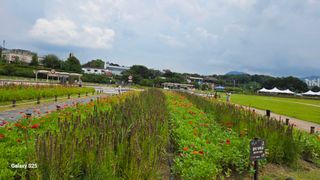 손병만님의 자유주제 · 자유게시판 작성글 사진