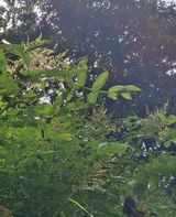 팜모닝 자유주제·자유게시판 게시글 이미지