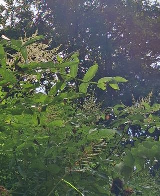 김석순 대암산아랫말님의 자유주제 · 자유게시판 작성글 사진