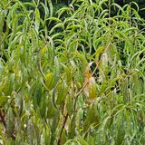 팜모닝 농사, 무엇이든 물어보세요!·참여글 게시글 이미지