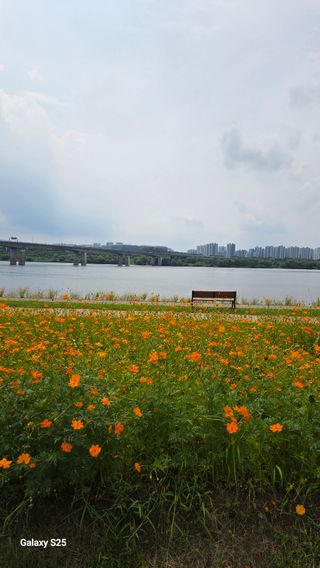 손병만님의 자유주제 · 자유게시판 작성글 사진