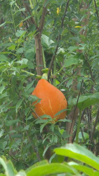 망치님의 자유주제 · 자유게시판 작성글 사진