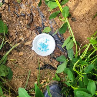 이창화님의 자유주제 · 자유게시판 작성글 사진