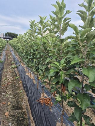 우리농원님의 자유주제 · 자유게시판 작성글 사진