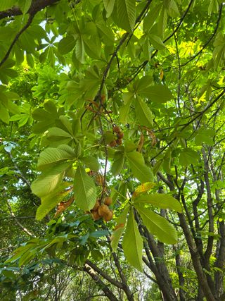 김성환님의 자유주제 · 자유게시판 작성글 사진