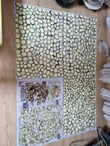 팜모닝 자유주제·자유게시판 게시글 이미지