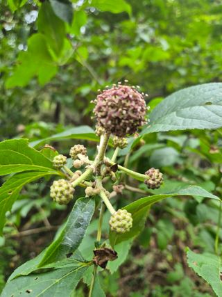 진문거사님의 자유주제 · 사진전 작성글 사진