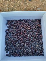 팜모닝 농사, 무엇이든 물어보세요!·참여글 게시글 이미지