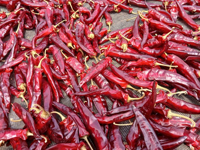 장터 상품 [(충남청양산, 반태양초,보통맛)] 썸네일