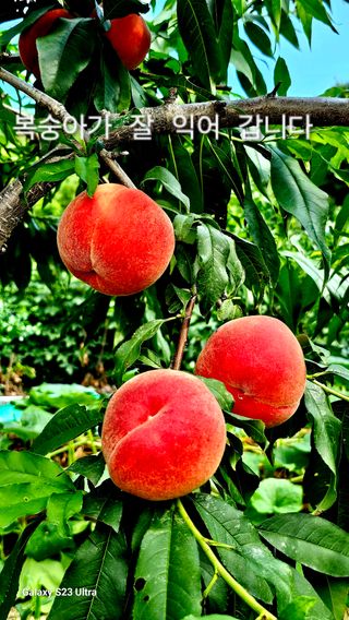 멋진인생님의 자유주제 · 자유게시판 작성글 사진