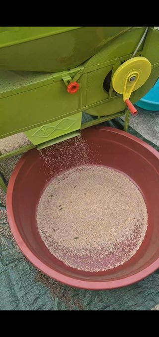 옥천서화농님의 자유주제 · 자유게시판 작성글 사진