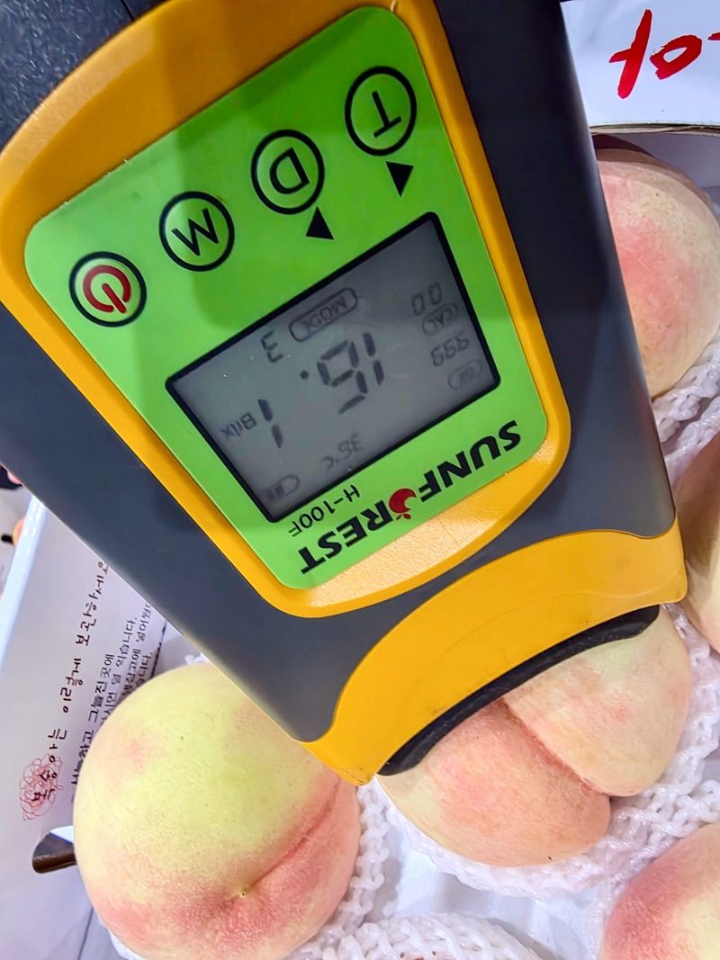 농부손녀님의 장터 판매 상품 [[고당도] 꿀먹은 백도 복숭아 4kg] 첨부 사진