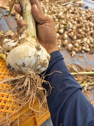 박린님의 작성글 사진
