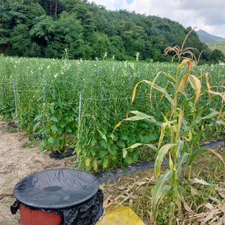 박수연님의 자유주제 · 자유게시판 작성글 사진