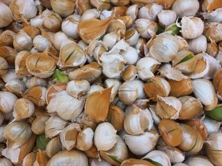 박린님의 작성글 사진