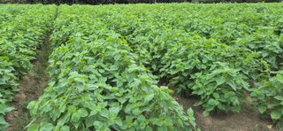 최용운님의 자유주제 · 자유게시판 작성글 사진