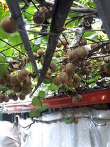 팜모닝 자유주제·자유게시판 게시글 이미지