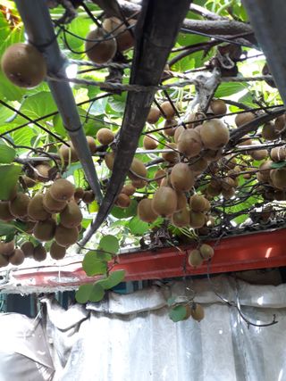 조동원님의 자유주제 · 자유게시판 작성글 사진