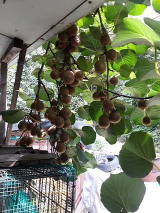 조동원님의 자유주제 · 자유게시판 작성글 사진