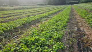 조병대님의 자유주제 · 자유게시판 작성글 사진