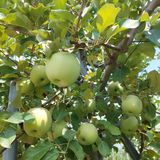 팜모닝 자유주제·자유게시판 게시글 이미지