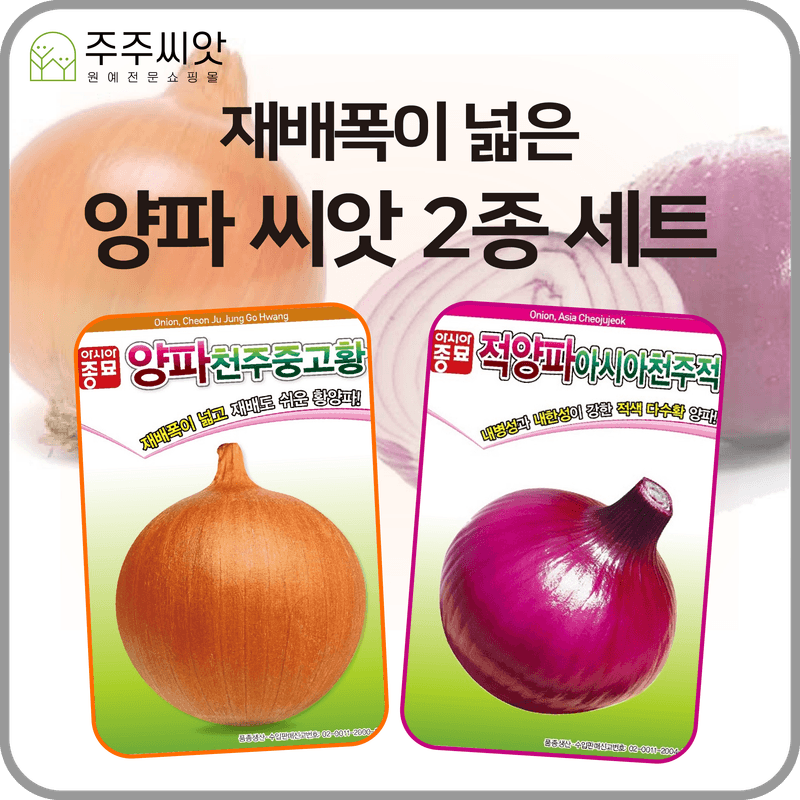 장터 상품 [양파 씨앗 2종 세트 / 천주중고황양파 씨앗, 천주적양파 씨앗] 썸네일