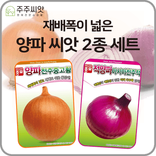 주주씨앗님의 작성글 사진