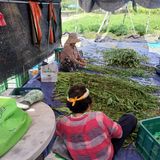 팜모닝 자유주제·자유게시판 게시글 이미지