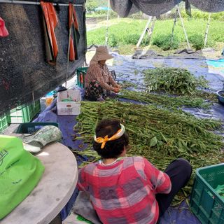 박수연님의 자유주제 · 자유게시판 작성글 사진