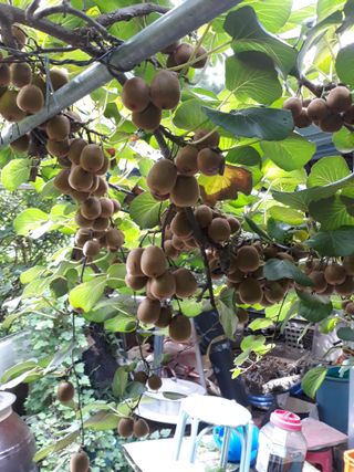 조동원님의 자유주제 · 자유게시판 작성글 사진