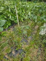 팜모닝 자유주제·자유게시판 게시글 이미지