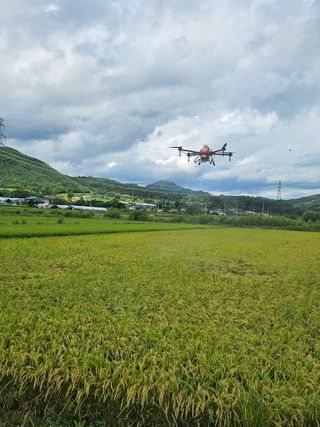 윤재하님의 자유주제 · 자유게시판 작성글 사진