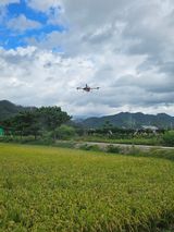 팜모닝 자유주제·자유게시판 게시글 이미지