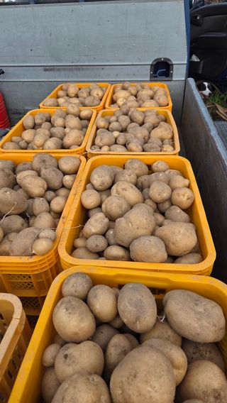 인제 돈키호테님의 작성글 사진