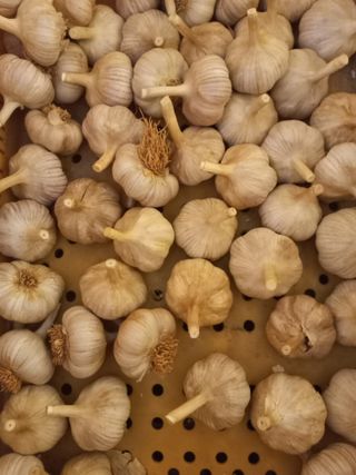 박린님의 작성글 사진