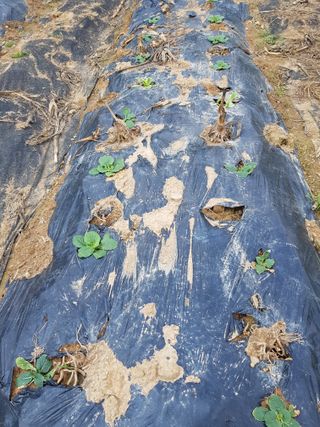 김건호님의 자유주제 · 자유게시판 작성글 사진