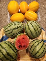 팜모닝 자유주제·자유게시판 게시글 이미지