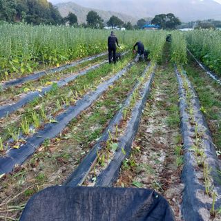 박수연님의 자유주제 · 자유게시판 작성글 사진