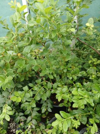 새창고개님의 작성글 사진