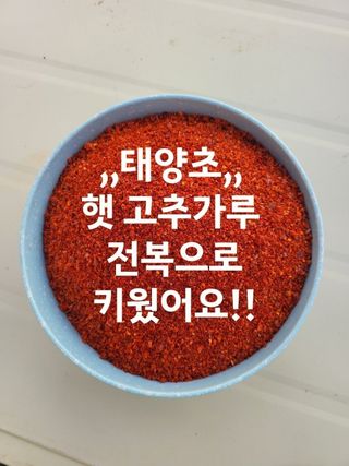 고추농사 정 미라님의 작성글 사진