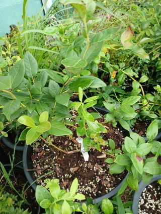 새창고개님의 작성글 사진