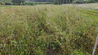 조병대님의 자유주제 · 자유게시판 작성글 사진