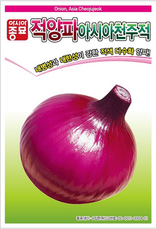 주주씨앗님의 작성글 사진