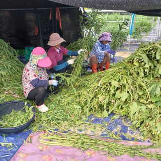 박수연님의 자유주제 · 자유게시판 작성글 사진