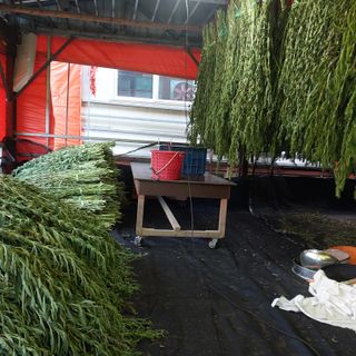 박수연님의 자유주제 · 자유게시판 작성글 사진