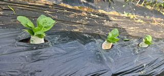 명희님의 자유주제 · 자유게시판 작성글 사진